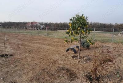 Teren de 821 mp, în Alparea - 7