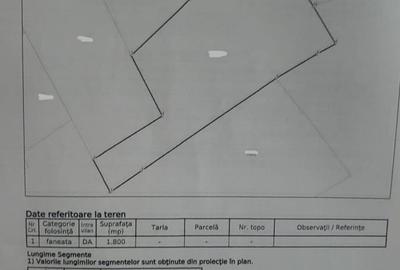 Casa de vanzare Targu Lapus zona centrala cu teren 3800mp si anexe - 2