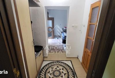 Casă cu 6 camere cu Teren 1017 Mp în Moșnița Nouă - 8
