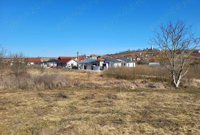 Teren de 647 mp, în Paleu