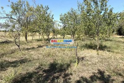 Vanzare teren intravilan Baicoi Central Vanzare teren intravilan Baicoi Central - 1