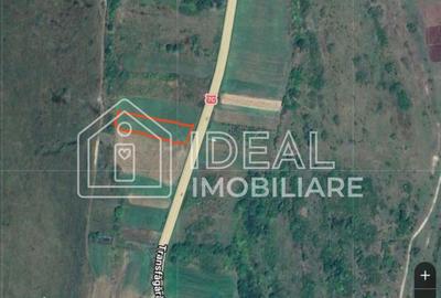 Spațiu comercial, în Cârțișoara - 5