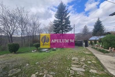 Teren de vanzare in Brebu - Zona Brebu Megiesesc - 2