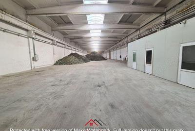 Hale noi in Baicoi, Ph--13.000mp--3e - 9