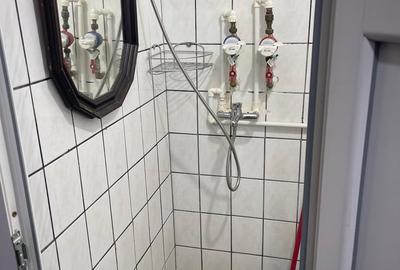 Garsonieră în Nicolae Grigorescu - 9