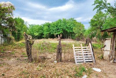 Casă cu 4 camere cu Teren 2020 Mp în Surani - 8