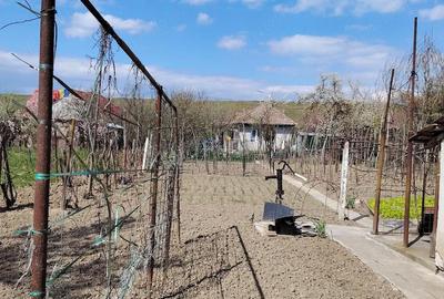 Casă cu 5 camere cu Teren 830 Mp în Central - 8