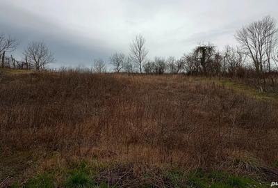 Vand casa sat carnecea - 2