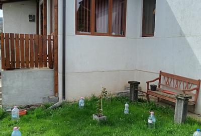 Casa familiala Roteni - 8