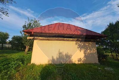 Casă individuală cu 3 camere cu Teren 2000 Mp în Runcu - 10