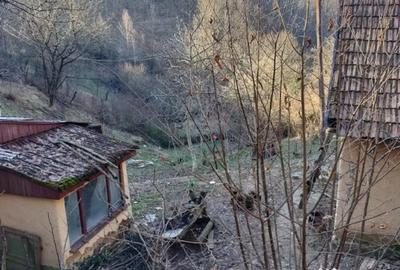 Casă cu 2 camere cu Teren 7500 Mp în Valea Roșie - 8