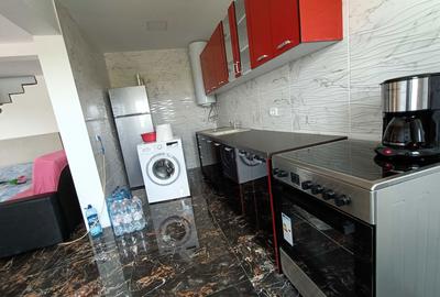 Casă cu 2 camere în Mlenăuți - 3