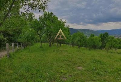 Teren de 23197 mp, în Mănăstirea Cașin - 3