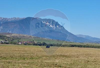 Teren unic de 16,391 mp/Extravilan/Rasnov