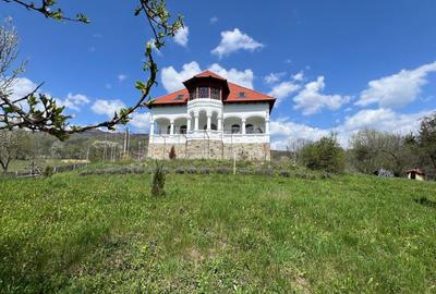 Casă individuală cu 10 camere cu Canalizare în Arefu - 1