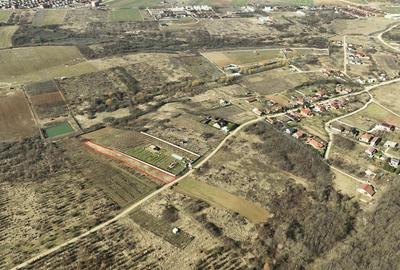 Teren Construcții intravilan de 2221 mp, în Paleu