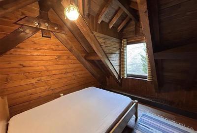 Teren Construcții intravilan de 60000 mp, în Peștera - 12