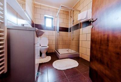 Casa de Vanzare-Timisoara - 7