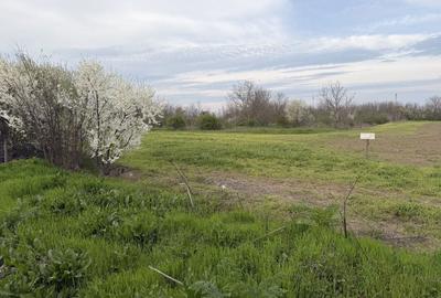 Teren de 700 mp, în Sinești - 2