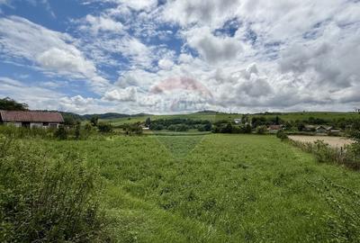 Teren Construcții intravilan de 3200 mp, în Așchileu Mic - 4