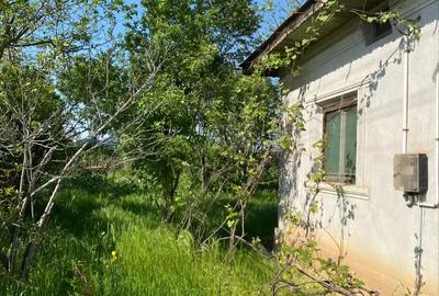 Casa de vanzare cu teren. - 4