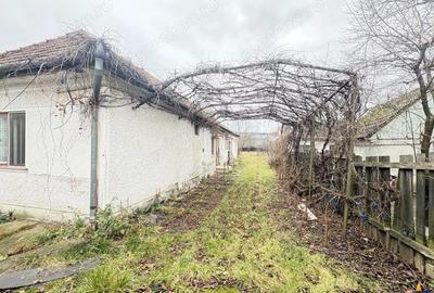 Casa cu 1.924 mp teren, de inchiriat, Sfantu Gheorghe - 4