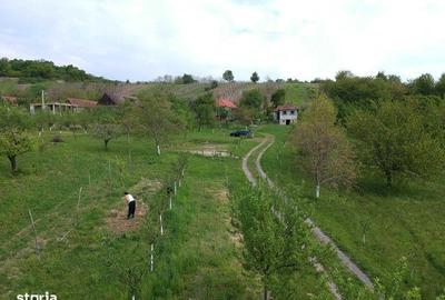 Teren de 3840 mp, în Orașu Nou - 1