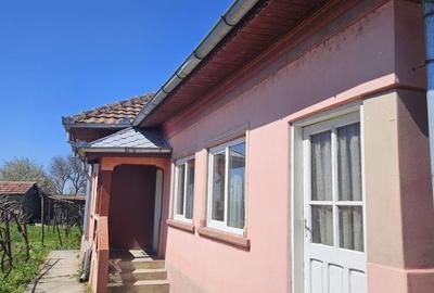 Casă cu 4 camere în Goicea - 1