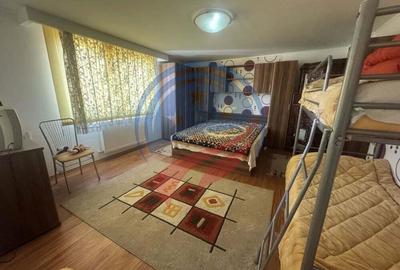 Proprietate deosebita in Filiasi - 11