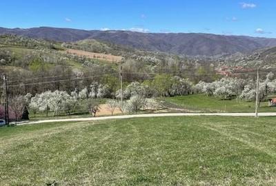 Teren de 879 mp, în Armeniș