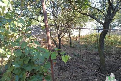 Teren de 2462 mp, în Petrăchioaia - 3