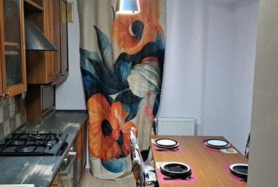 Apartament cu 2 camere decomandat în Preajba - 2