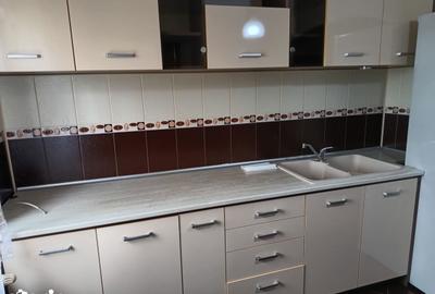 Apartament cu 2 camere în Paltiniș - 19