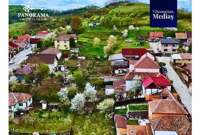 Casă individuală cu 3 camere cu Canalizare în Vitrometan - 18