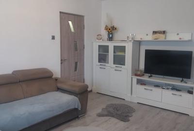 Apartament cu 2 camere semidecomandat, mobilat în Brazda lui Novac