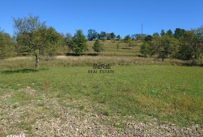 Teren de 8757 mp, în Luncoiu de Jos - 10