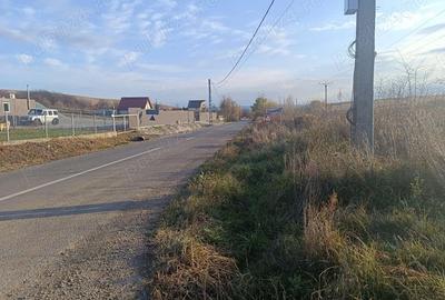 Teren în Pădureni (Chinteni) - 1