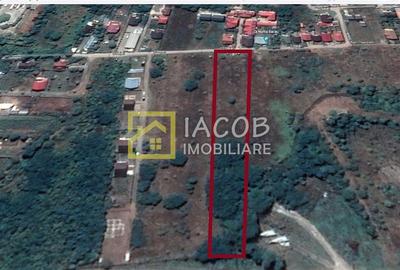 Teren Construcții intravilan de 6208 mp, în Sud - 3