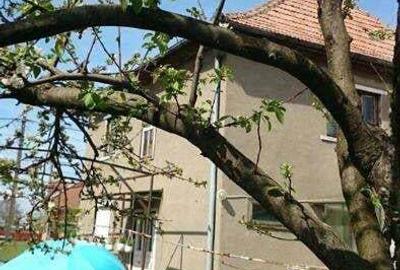 Casă cu 5 camere cu Teren 2300 Mp în Săcueni - 3