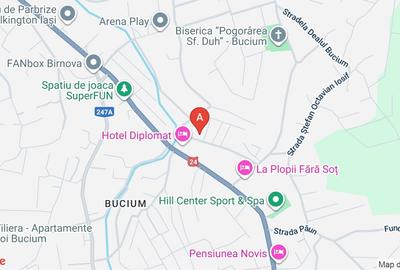 Persoana fizică, apartament 2 cam. Zona Bucium-plopii fără soț, - 1
