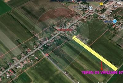 Teren de 6700 mp, în Variașu Mare - 5