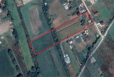 Teren de 10000 mp, în Traian