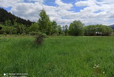 TEREN INTRAVILAN 4000 MP DE VANZARE - VATRA DORNEI - 2