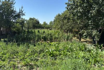 Casă cu 2 camere în Valea Pechii - 6