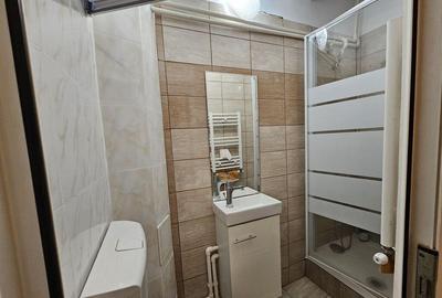 Casa superba 4 camere-terasa-3 bai Batistei-Universitate-... - 5