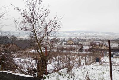 Spațiu comercial, în Secuia - 7