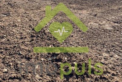 ? Teren intravilan 10.000 mp Mesteacan, jud. Hunedoara ? - 4