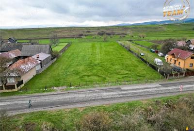 Teren de 8000 mp, în Central - 8