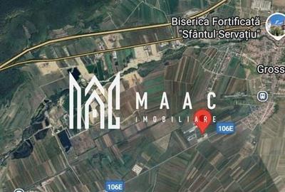 Teren | 10,000 MP | Extravilan | Posibilitate de parcelare | Cristian - 4