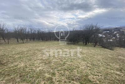 Teren intravilan cu CF 5400mp front 17 Savadisla jud Cluj - 12